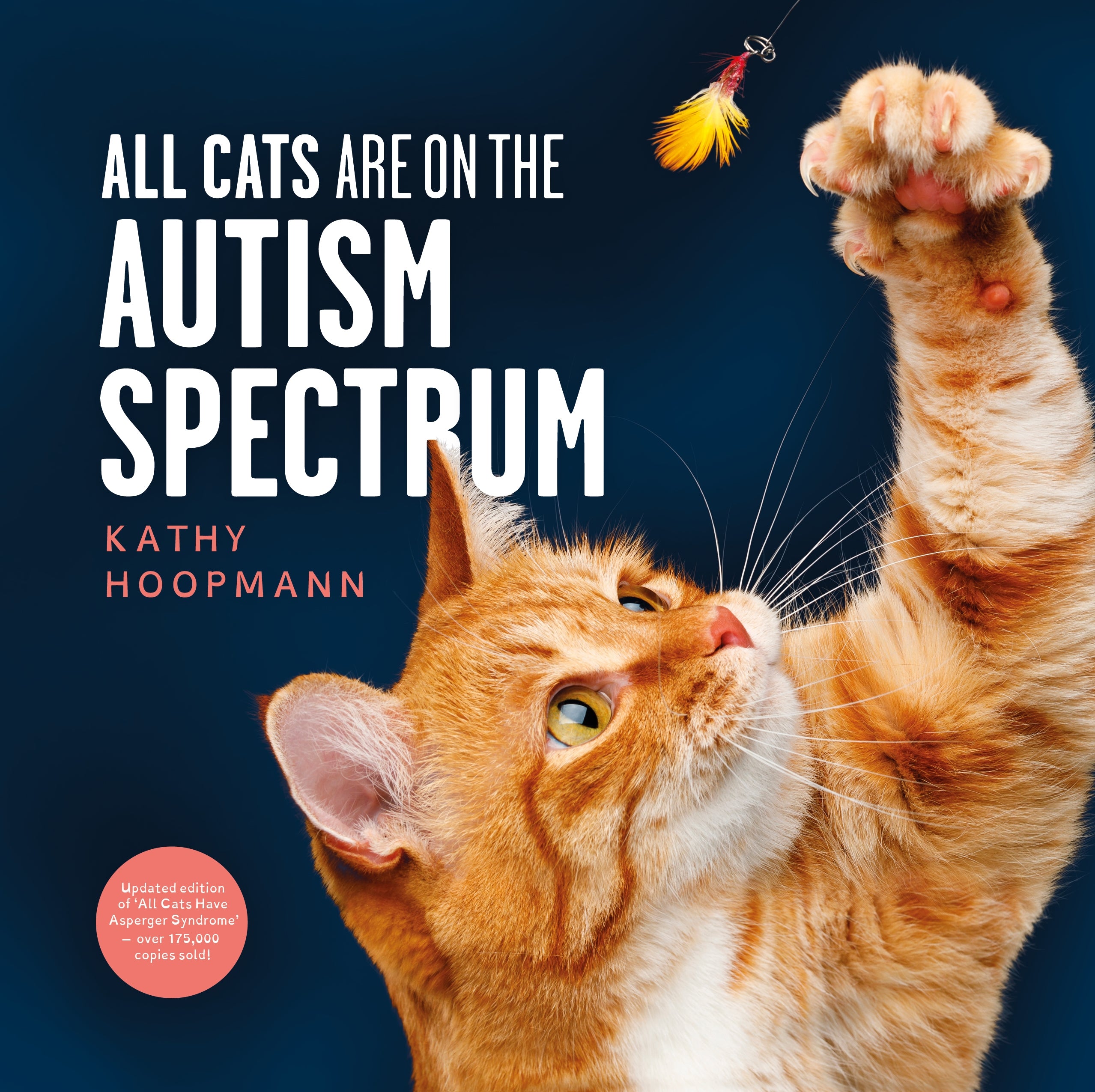 All Cats Are on the Autism Spectrum | Jessica Kingsley Publishers