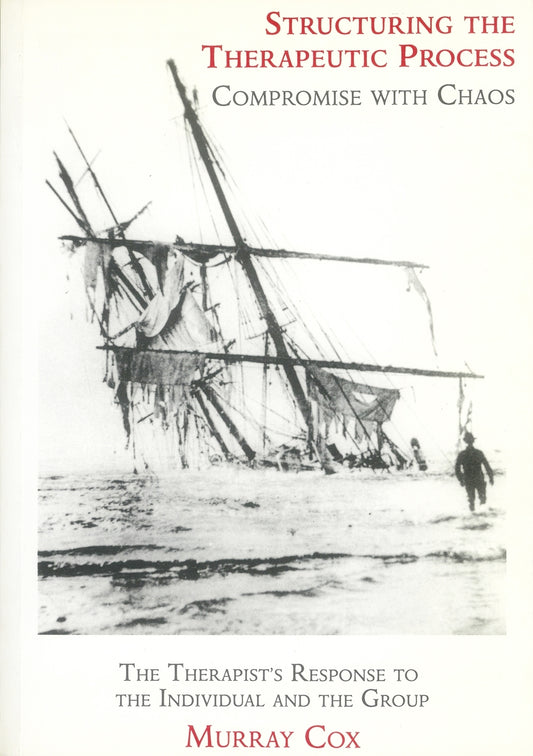 Structuring the Therapeutic Process by Murray Cox