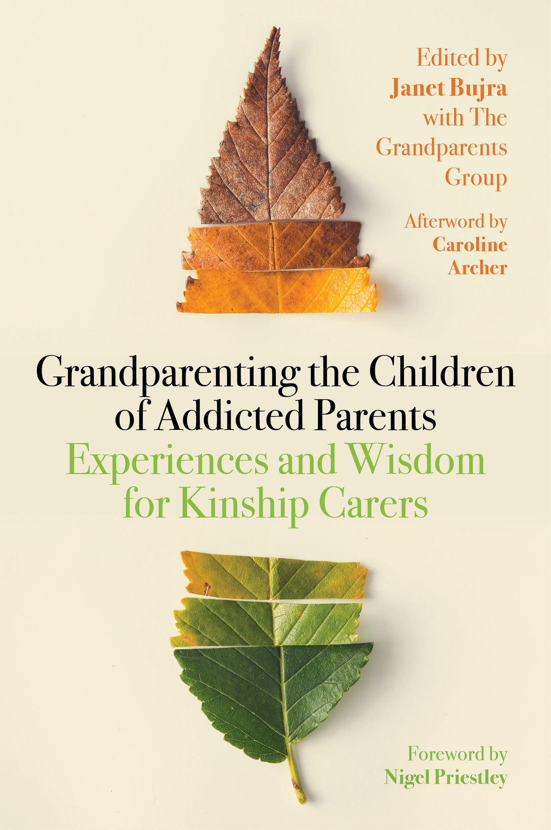 Grandparenting the Children of Addicted Parents by Caroline Archer, Janet Bujra, Nigel Priestley, No Author Listed