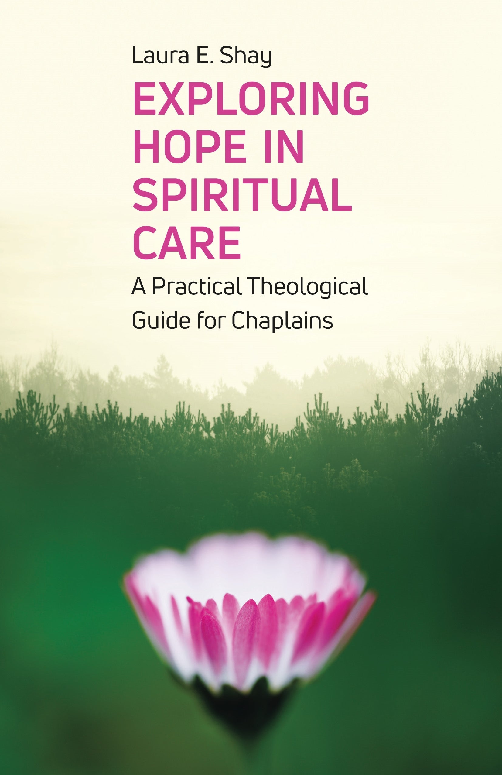 Exploring Hope in Spiritual Care by Laura Shay