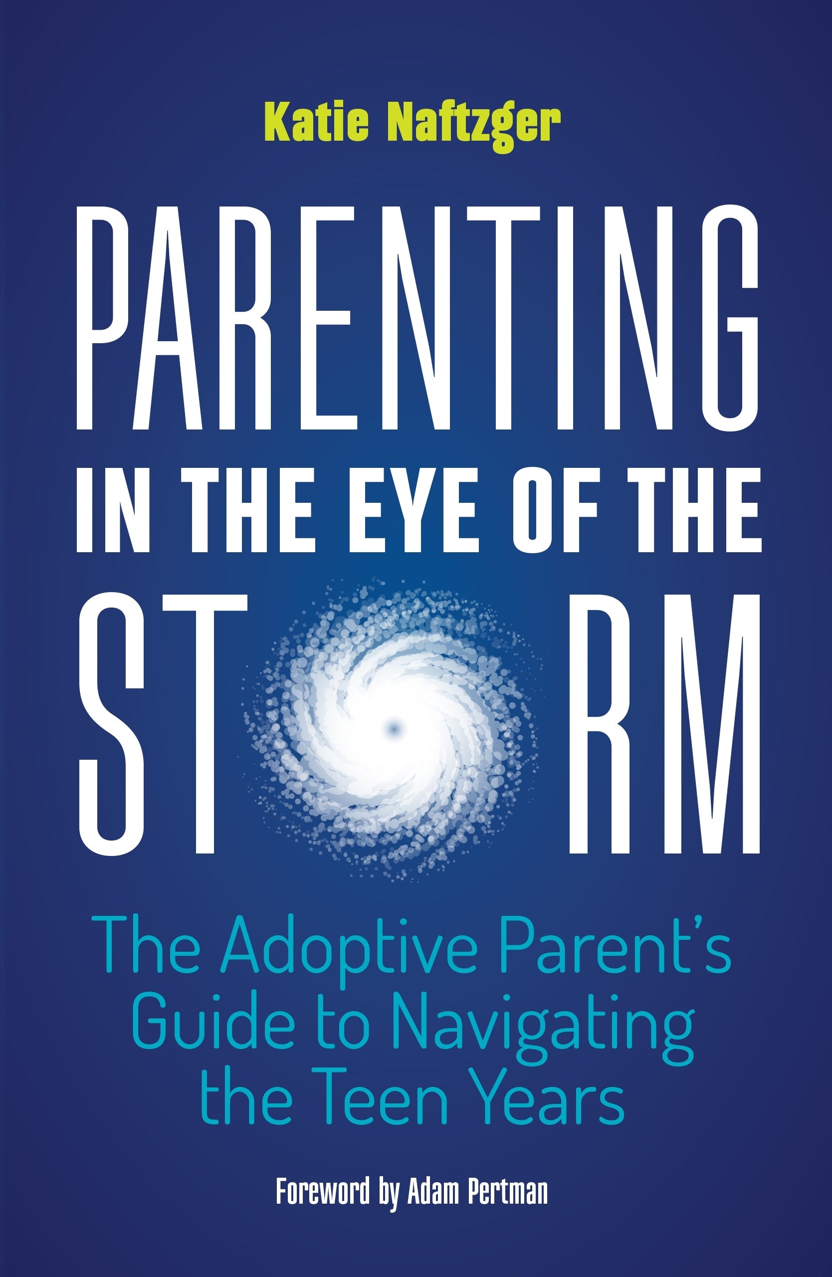 Parenting in the Eye of the Storm by Adam Pertman, Katie Naftzger