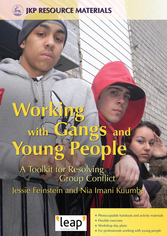 Working with Gangs and Young People by Jessie Feinstein, Imani Kuumba