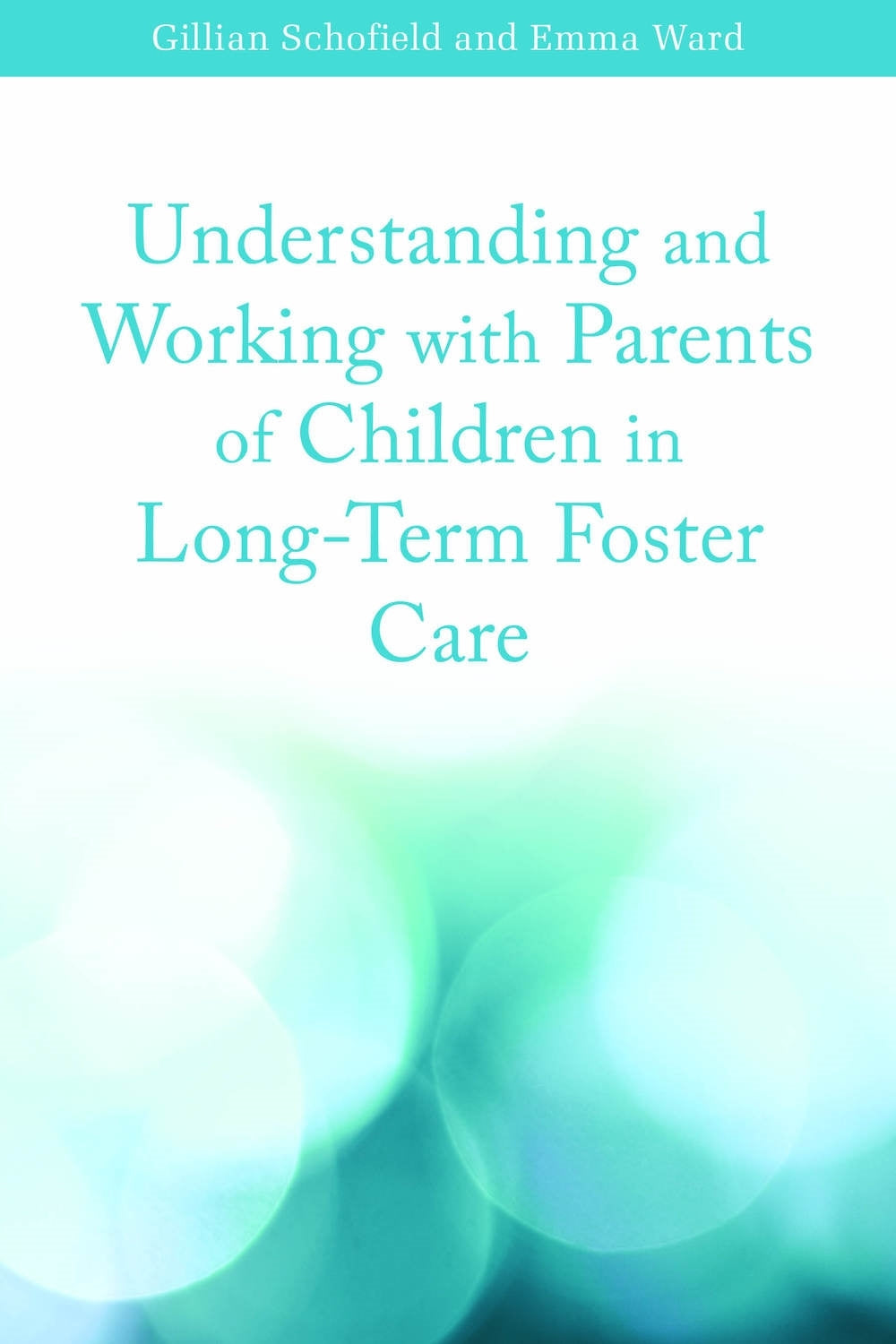Society and Social Sciences / Social services and welfare, criminology / Social welfare and social services / Welfare and benefit systems / Child welfare and youth services